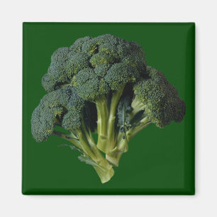Broccoli Magnet