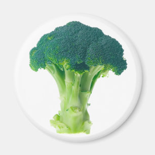 Broccoli Magnet