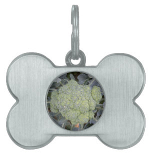 Broccoli Pet Tag
