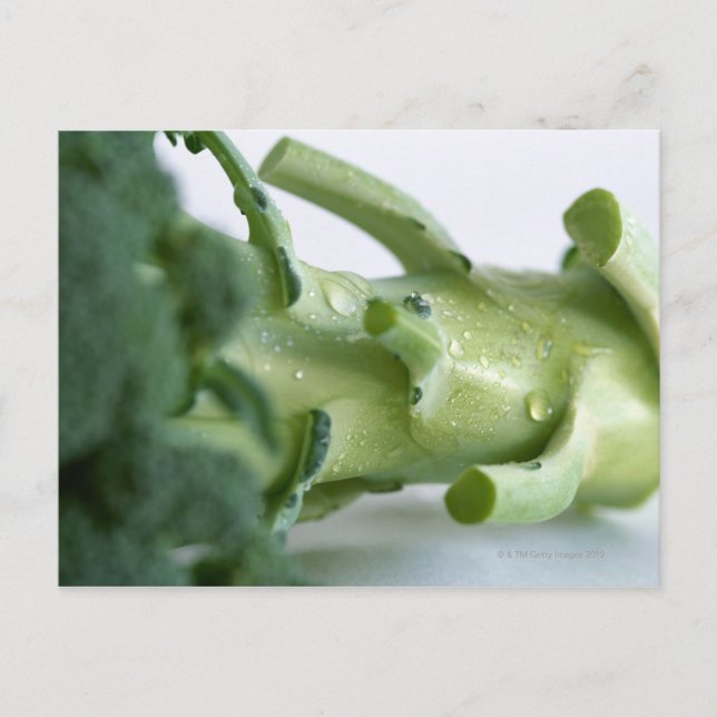 Broccoli Postcard (Front)