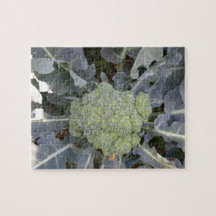 Broccoli Puzzle