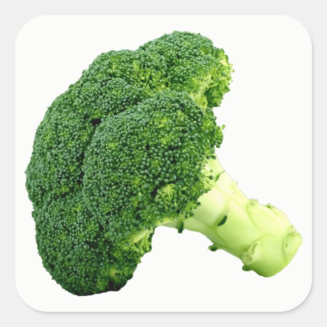 Broccoli Square Sticker (Front)