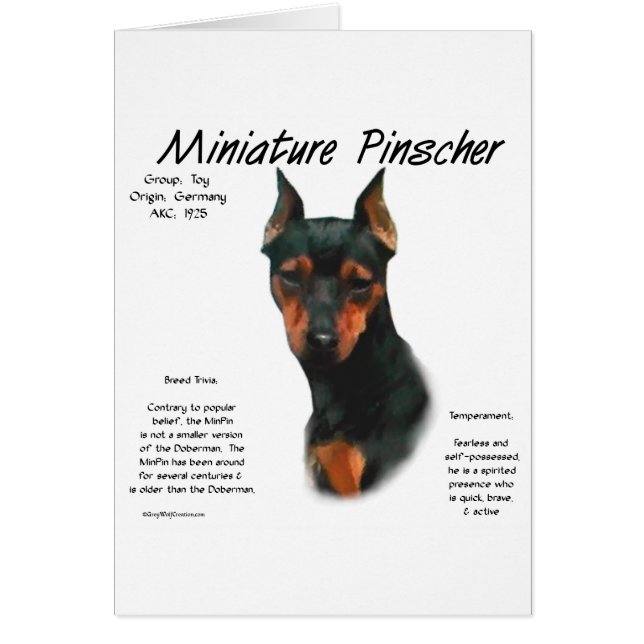 Brochure miniature (noir/rouille) (Devant)