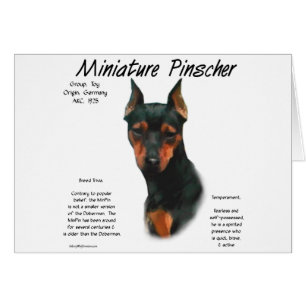 Brochure miniature (noir/rouille)