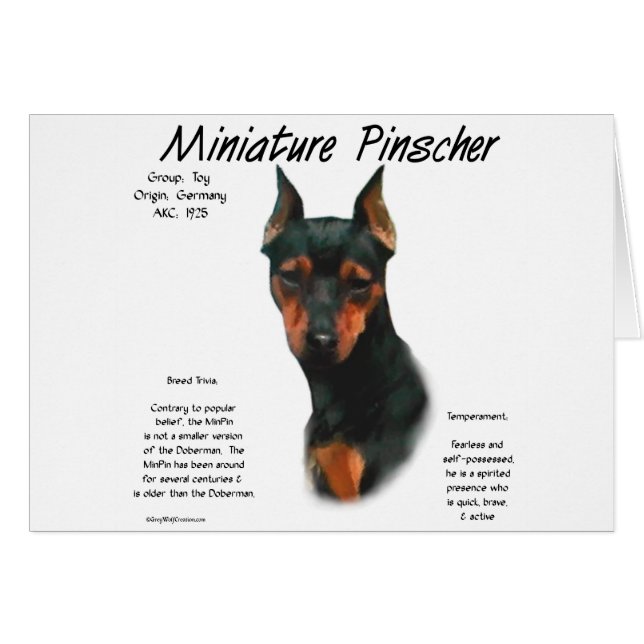 Brochure miniature (noir/rouille) (Devant horizontal)