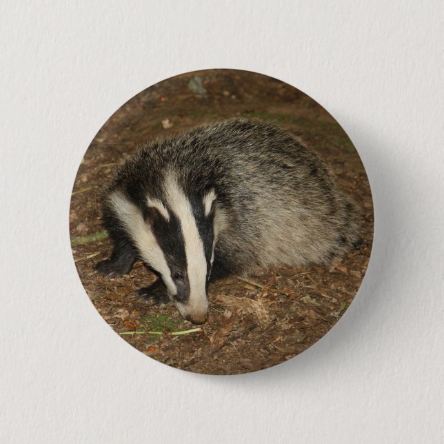 Brockwatch badger badge 2 inch round button (Front)