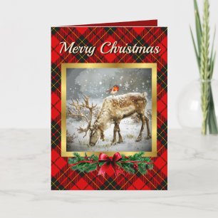 Brodie Stag & Robin Tartan Personalized  Holiday Card