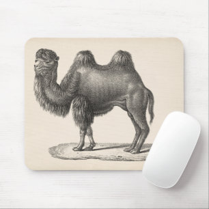 Brodtmann Camel Sketch Mouse Pad