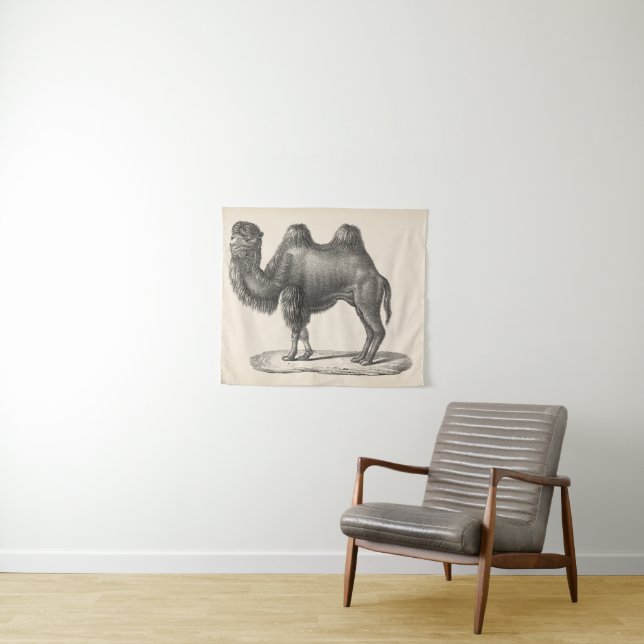 Brodtmann Camel Sketch Tapestry (In Situ (Horizontal))