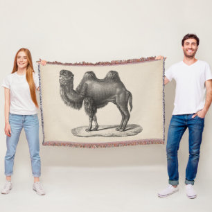 Brodtmann Camel Sketch Throw Blanket