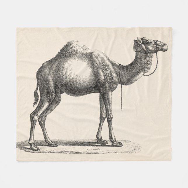 Brodtmann Dromedary Camel Sketch Fleece Blanket (Front (Horizontal))