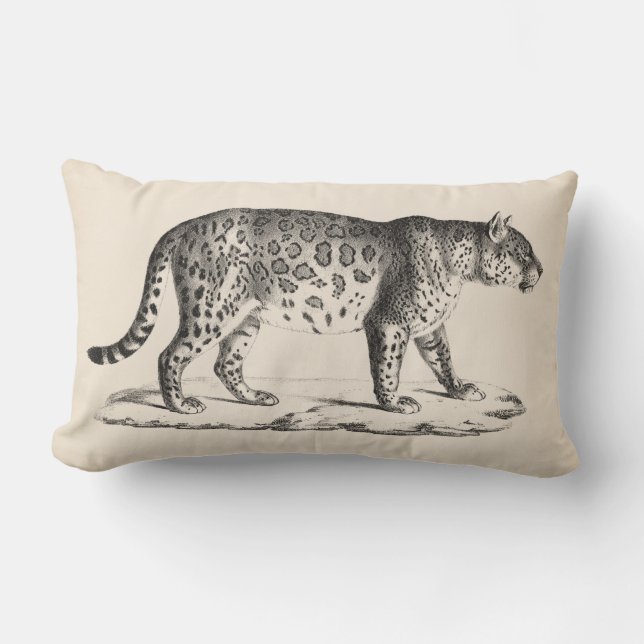 Brodtmann Leopard Sketch Lumbar Pillow (Front)
