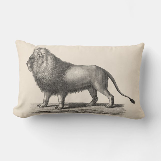 Brodtmann Lion Sketch Lumbar Pillow (Front)