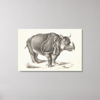Brodtmann Rhinoceros Sketch