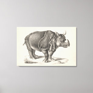 Brodtmann Rhinoceros Sketch Canvas Print