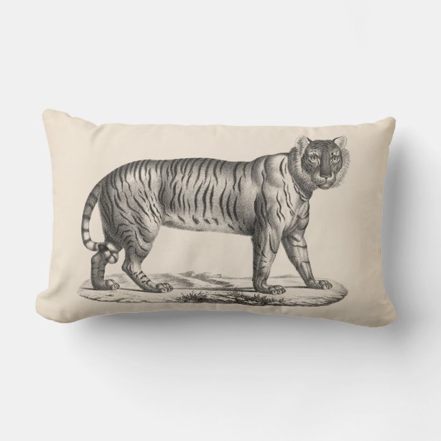 Brodtmann Tiger Sketch Lumbar Pillow (Front)