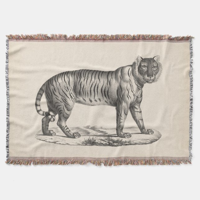 Brodtmann Tiger Sketch Throw Blanket (Front)