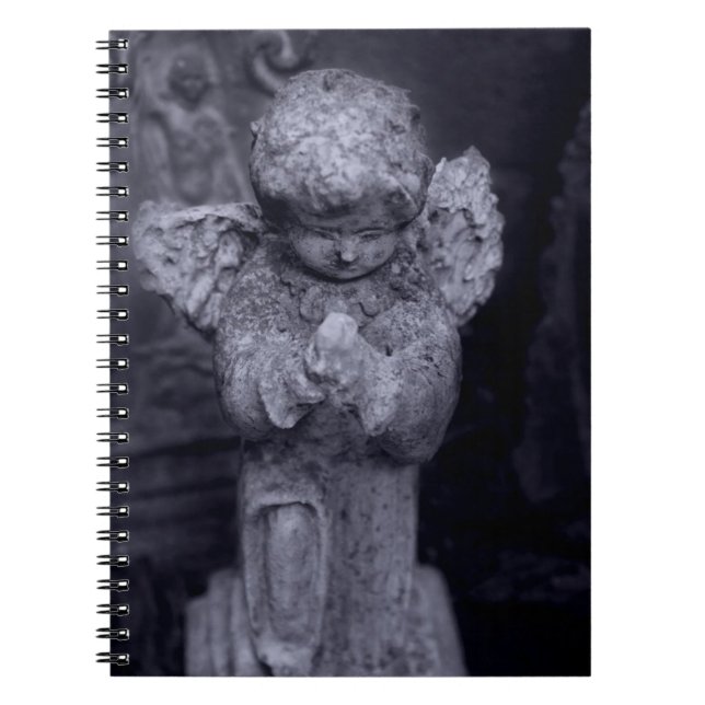 Broken Angel Journal (Front)