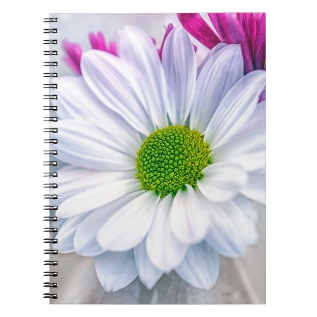 Broken Glass Notebook (Front)