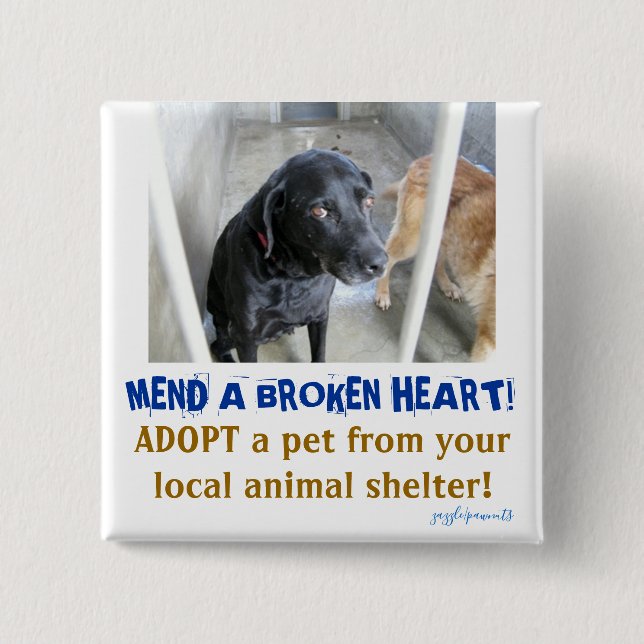 Broken-hearted pets 2 inch square button (Front)
