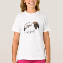 Broken Holland Lop