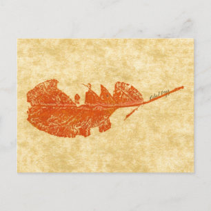 "Broken Leaf #1" Country Roads Postcard