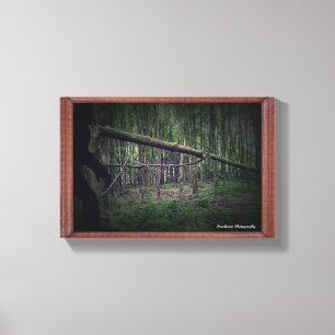 Broken Tree (Bigfoot) Canvas Print