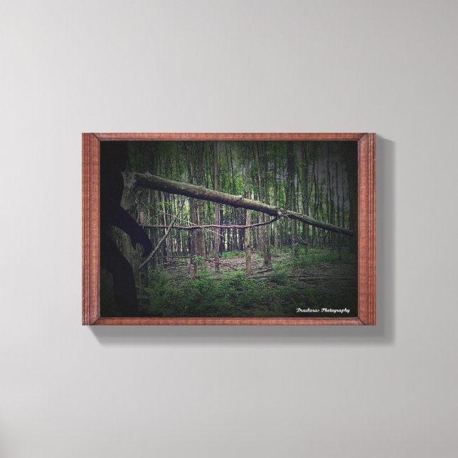 Broken Tree (Bigfoot) Canvas Print (Front)