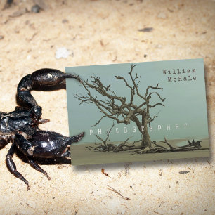 Broken Tree Driftwood Double-sided Modern Business Card