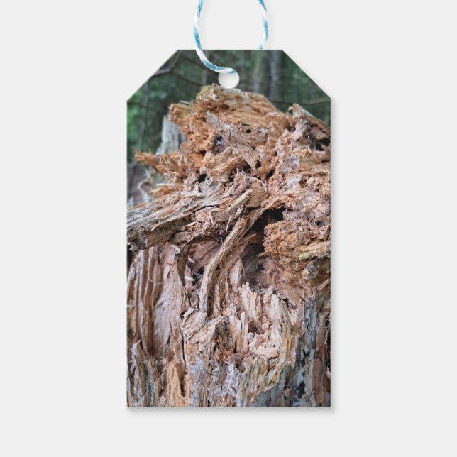 Broken Tree Gift Tags  (Front)