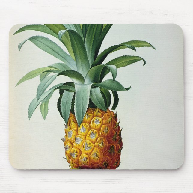 Bromelia Ananas, from 'Les Bromeliacees' Mouse Pad (Front)
