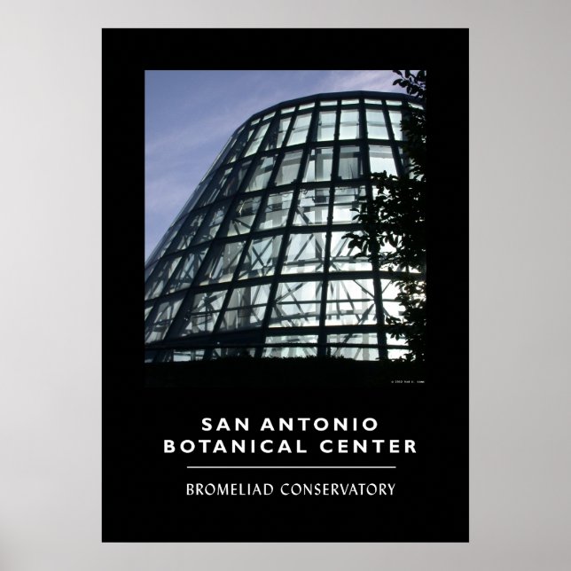 Bromeliad Conservatory Poster (Front)