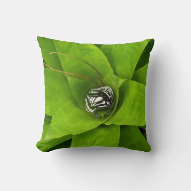 Bromeliad Green Botanical Photography Throw Pillow (Front)