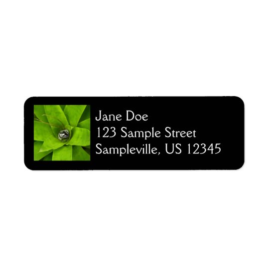 Bromeliad Green Nature Botanical Photography Return Address Label