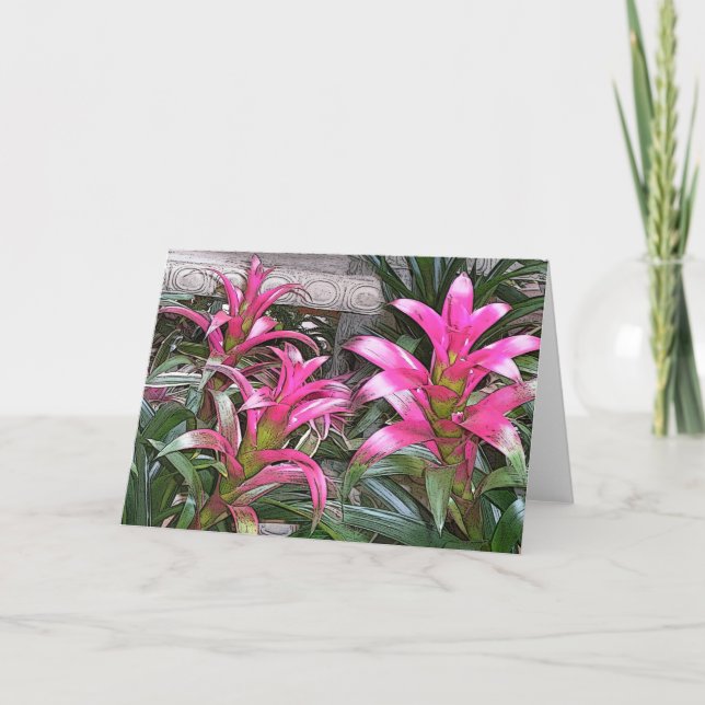 Bromeliad Greeting Card (Front)