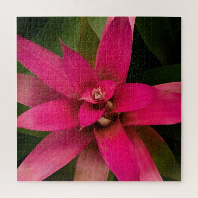 Bromeliad in Bloom Jigsaw Puzzle (Vertical)
