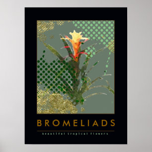 bromeliads art decor suggestion