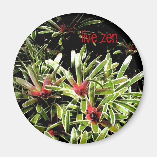 bromeliads live zen magnet (Front)