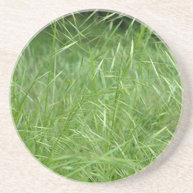 Bromus tectorum coaster (Front)