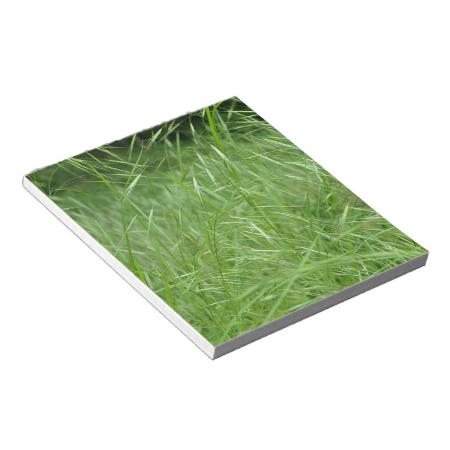 Bromus tectorum notepad (Angled)