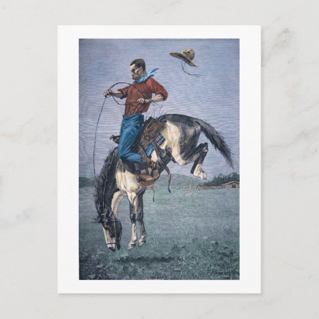 Bronco-Buster (coloured engraving) Postcard (Front)