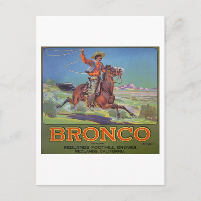 'Bronco Oranges', c.1900 (colour litho) Postcard (Front)