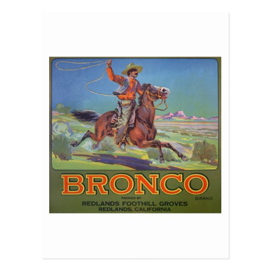 'Bronco Oranges', c.1900 (colour litho) Postcard