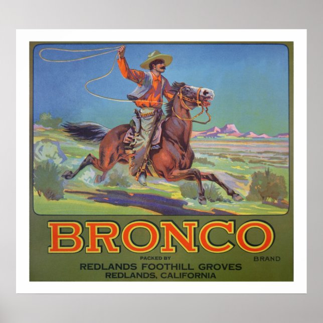 'Bronco Oranges', c.1900 (colour litho) Poster (Front)