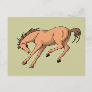 Bronco Postcard