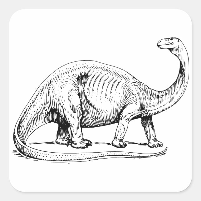 Brontosaurus Square Sticker (Front)