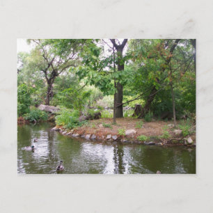 Bronx Zoo Postcard