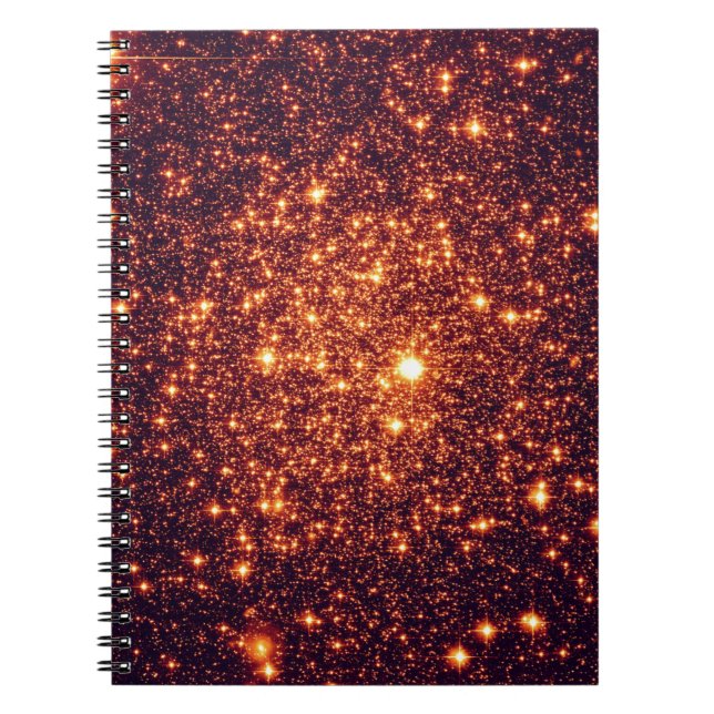Bronze Astral Glitter Notebook (Front)