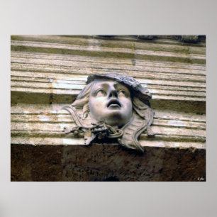 Bronze Beauty Poster