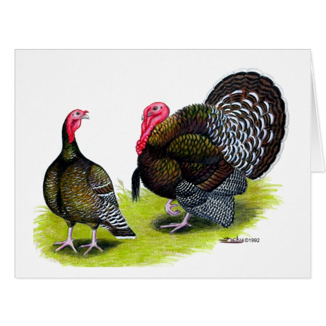 Bronze large de Turquie (Devant horizontal)